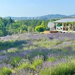 Eco Retreat For 8 People Case de vacanță *