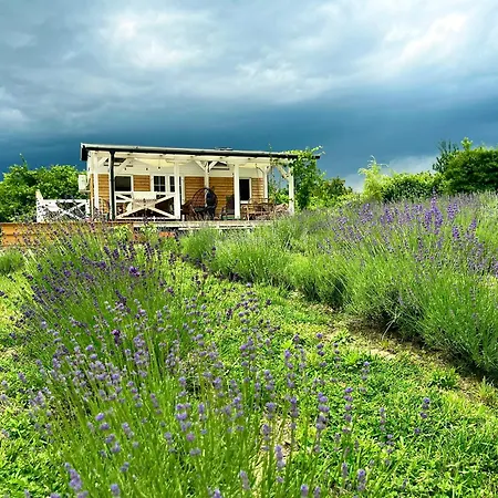 Eco Retreat For 8 People Case de vacanță *