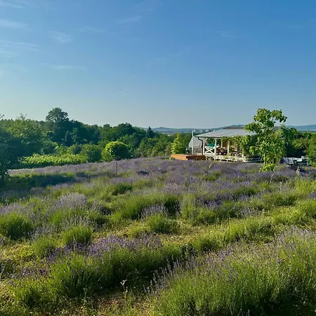 Eco Retreat For 8 People