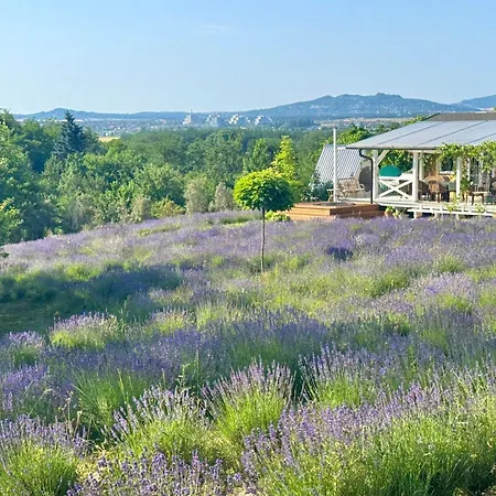 Eco Retreat For 8 People Ferienhaus *