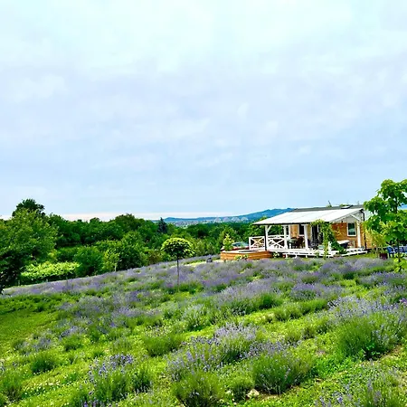 Ferienhaus Eco Retreat For 8 People
